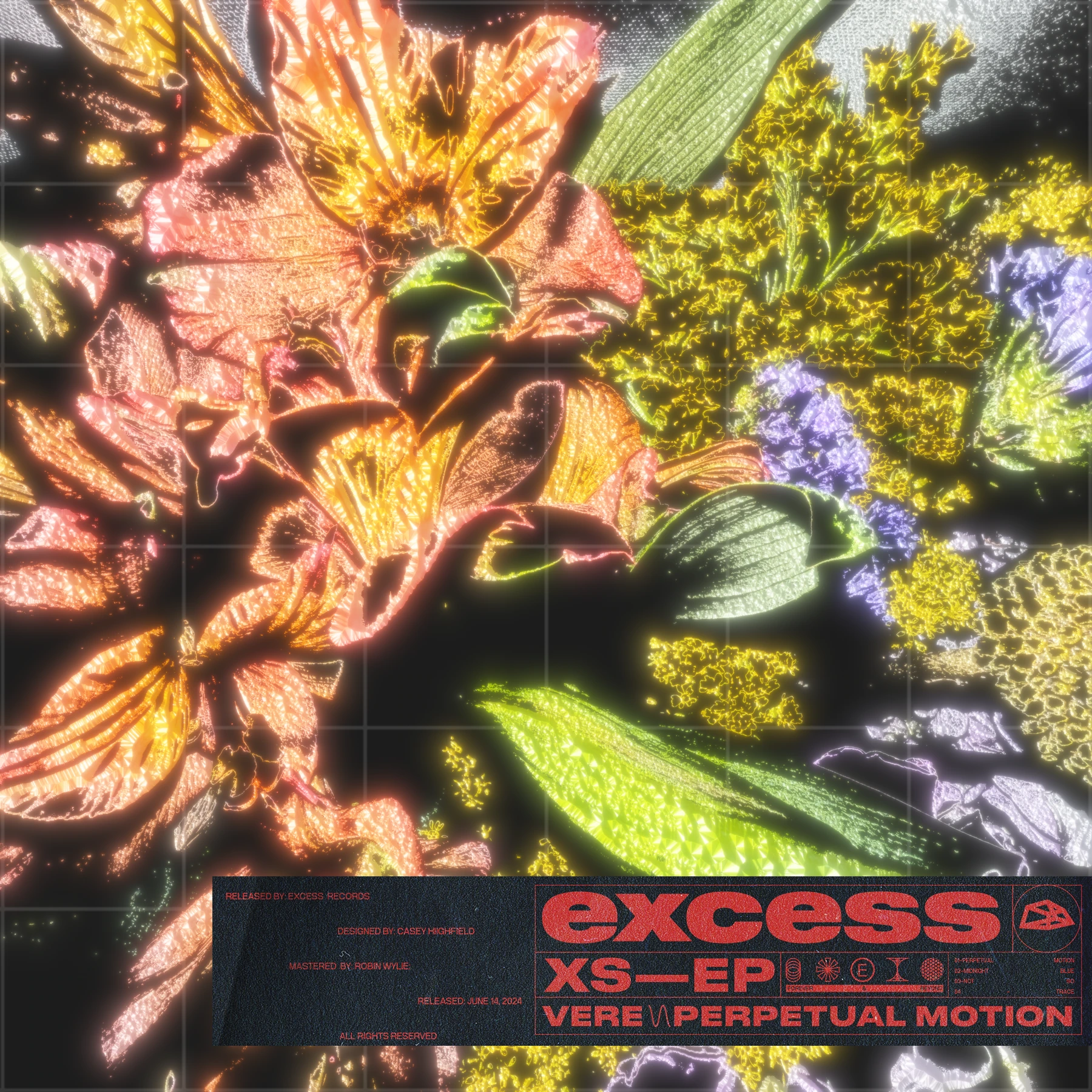 excess — 06 artwork