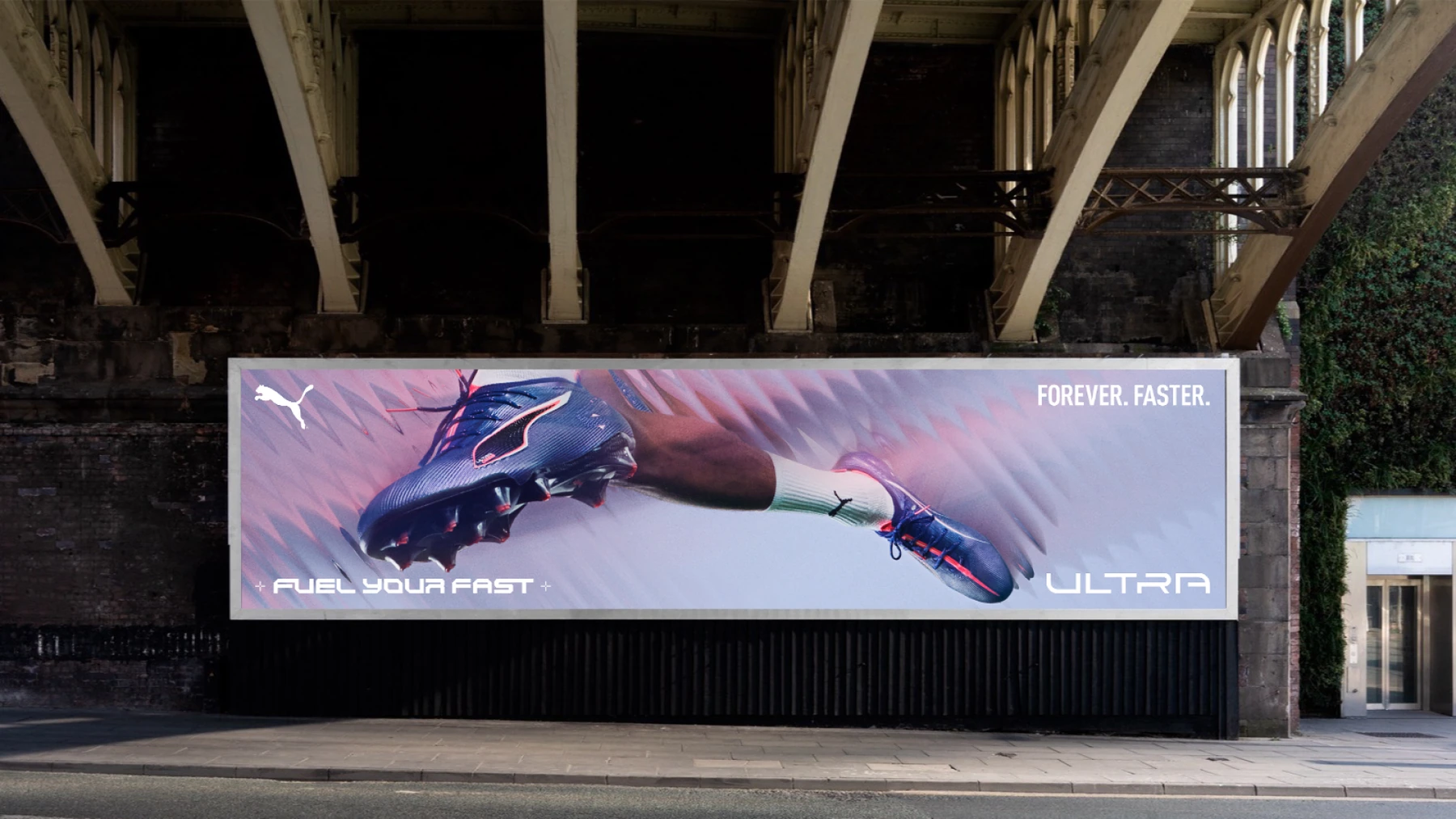 puma — 04 artwork